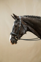 Dy'on Working Collection Matte Large Crank Noseband Bridle With Flash